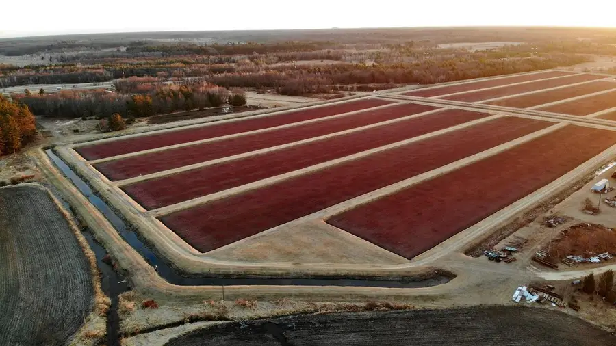 N7050 Highway 12 and 16, Camp Douglas, WI 54618 - Image #3