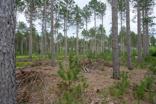 Lot 5 Bollig Court, Nekoosa, WI 54457