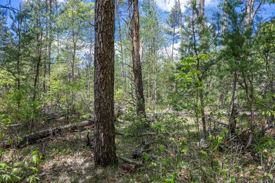 Lot 29 Beach Drive, New Lisbon, WI 53950 - Image #2