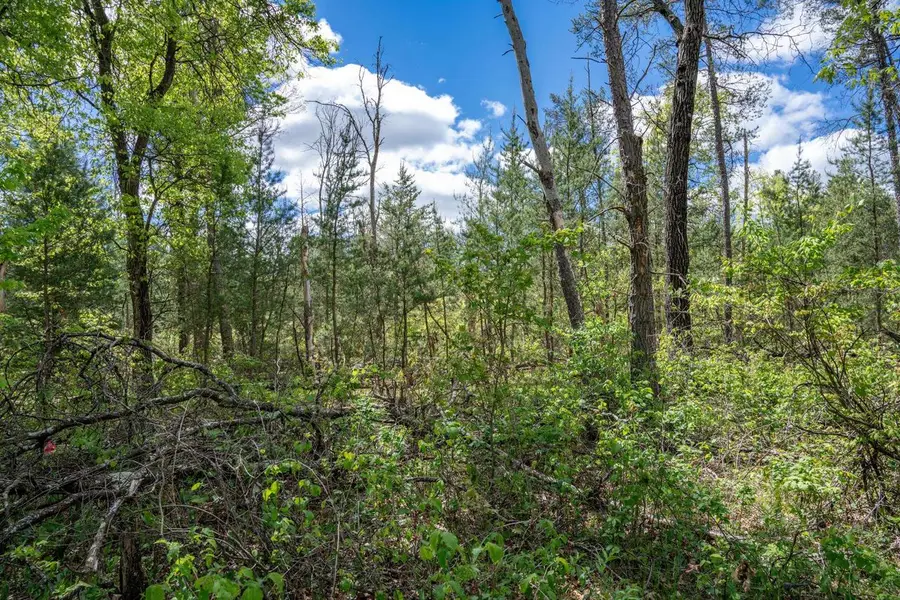 Lot 29 Beach Drive, New Lisbon, WI 53950 - Image #3