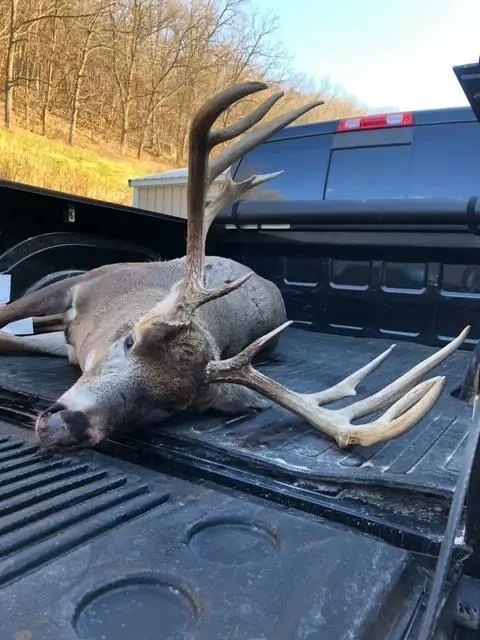 151.68+/- Acres Rattlesnake Road, Cassville, WI 53806 - Image #2