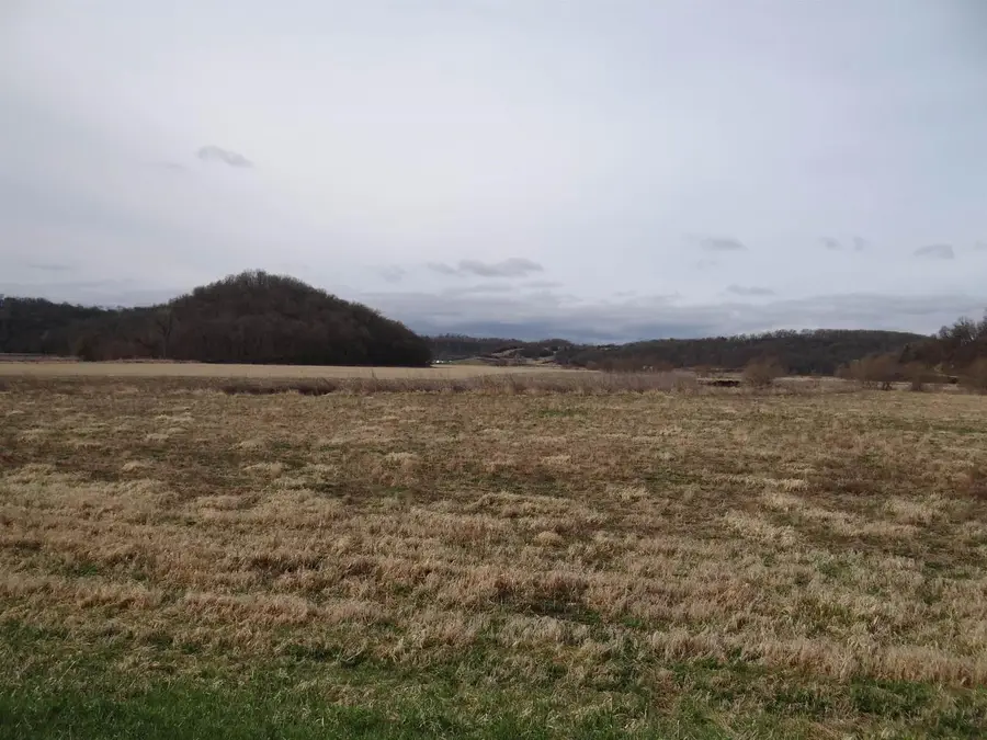 151.68+/- Acres Rattlesnake Road, Cassville, WI 53806 - Image #3