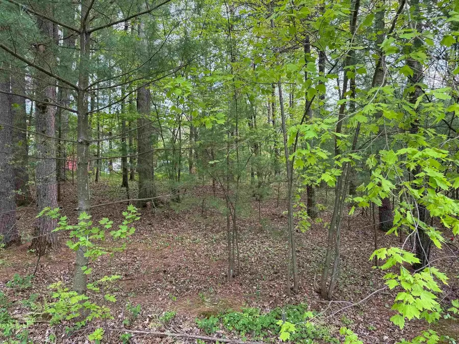 140 Ridge Drive, Lake Delton, WI 53965 - Image #2