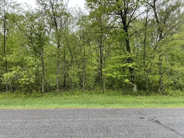 Lot 44 10th Street, Necedah, WI 54646 - Image #2