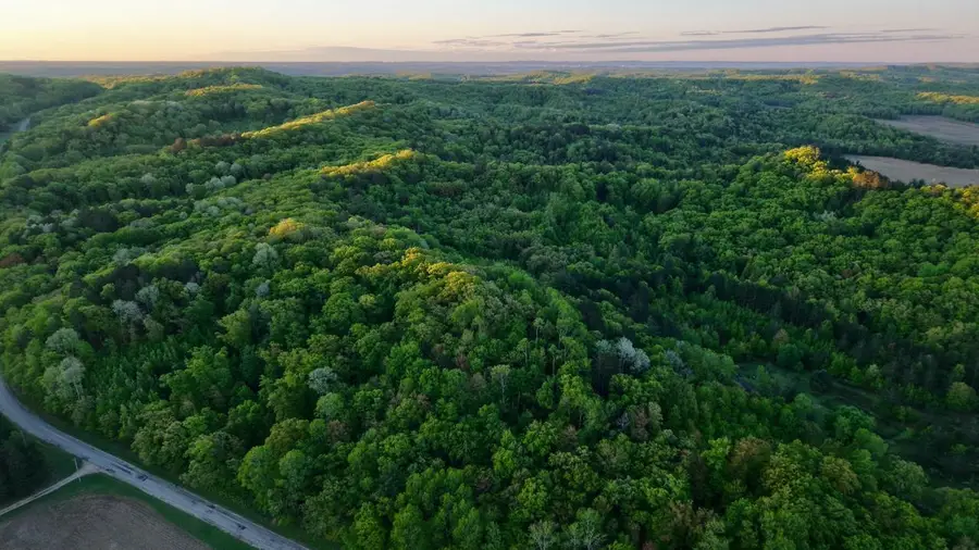 3824 County Hwy E, Grant, WI 54666 - Image #3