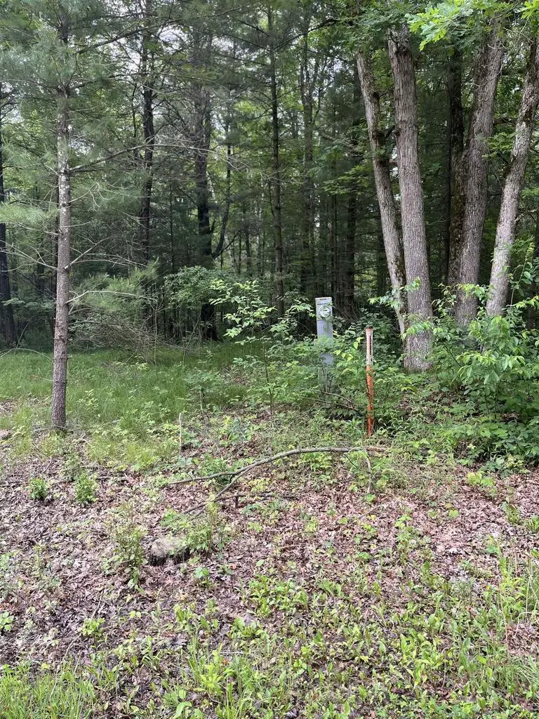 1365 Fur Court, Wisconsin Dells, WI 53965 - Image #3