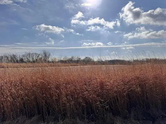 527 Badger Road, Hazel Green, WI 53811 - Image #3