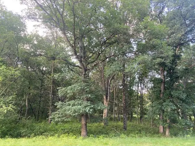 1574 Trout Road, Nekoosa, WI 54457 - Image #3