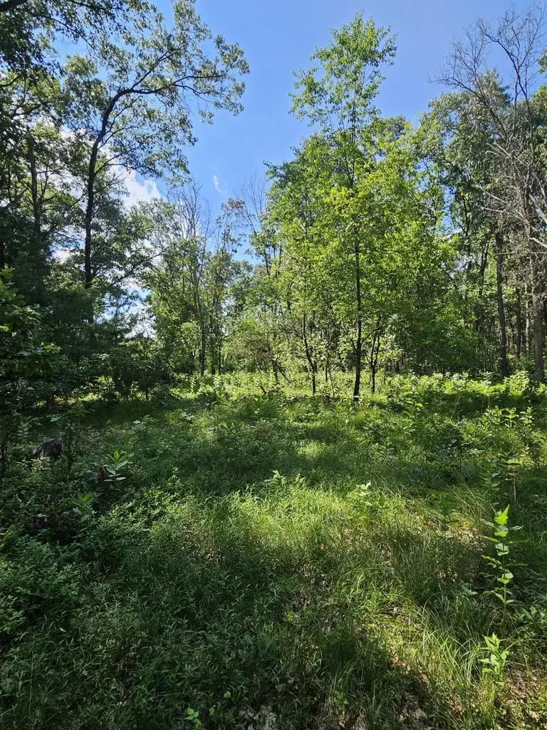 3671 9th Avenue, Wisconsin Dells, WI 53965 - Image #3