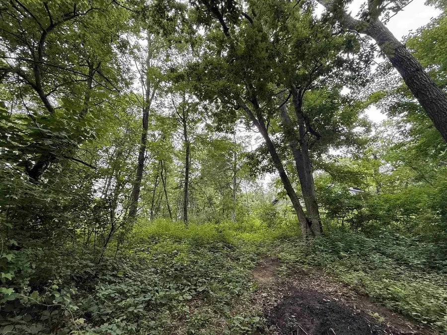 Lot 2 St Lawrence Bluff Road, Poynette, WI 53955 - Image #3