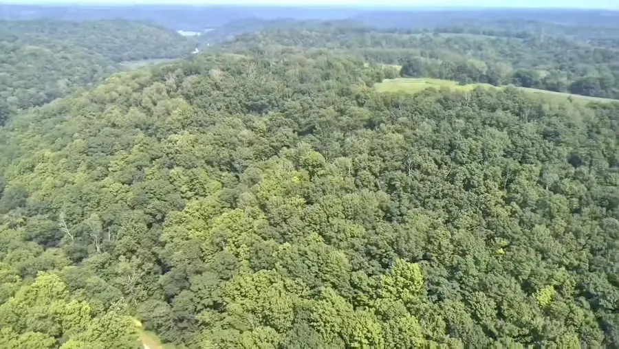 86 Ac County Road S, Gays Mills, WI 54631 - Image #3