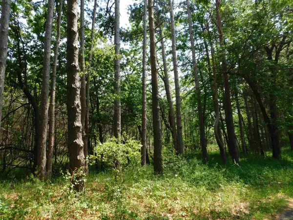 N4502 Pine Drive, Montello, WI 53949