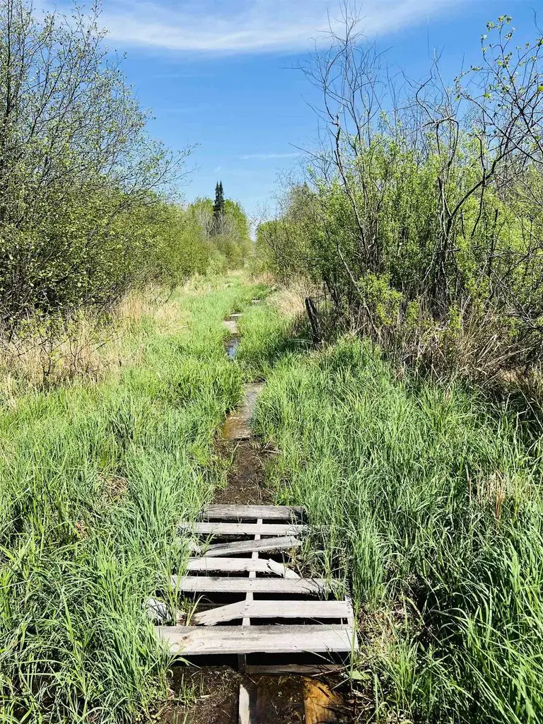 Zink Avenue, Greenwood, WI 54470 - Image #1