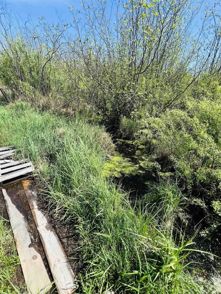 Zink Avenue, Greenwood, WI 54470 - Image #2