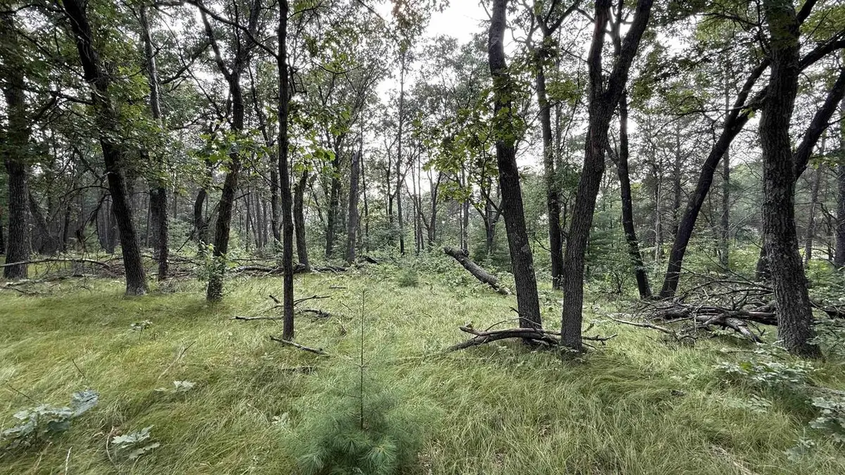 W2047 County Road N, Lyndon Station, WI 53944 - Image #1