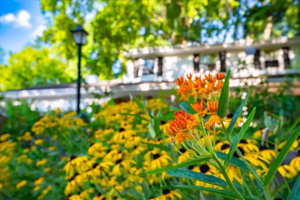 5713 Indian Trace, Madison, WI 53716