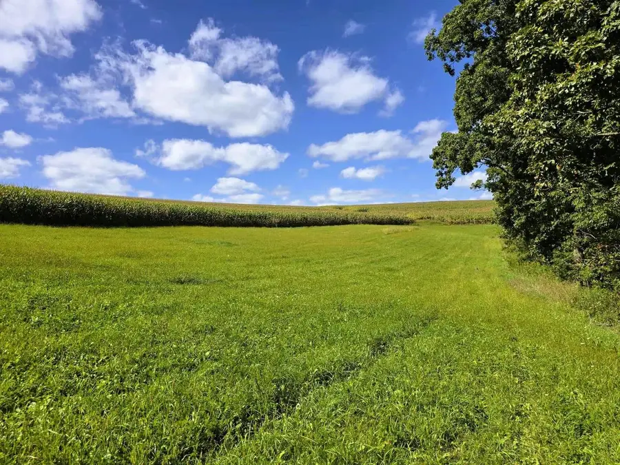 17 ACRES +/- Sherry Ridge Road, Soldiers Grove, WI 54655 - Image #3