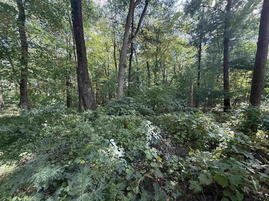 200 Cliffside Drive, Lake Delton, WI 53940 - Image #3