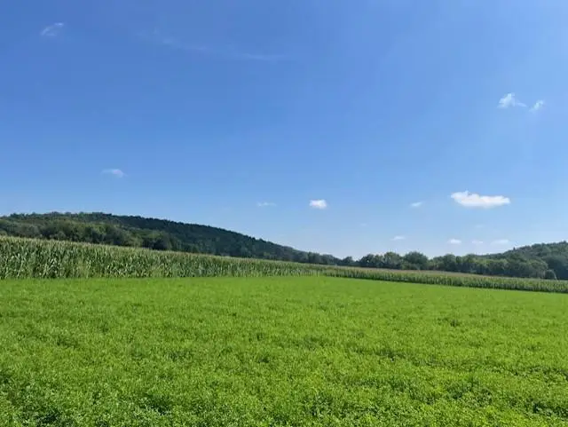 L113 Hillcroft Lane, Cross Plains, WI 53528 - Image #3