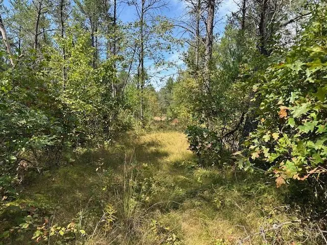 36.34 Ac Retirement Lane, Necedah, WI 54646 - Image #2