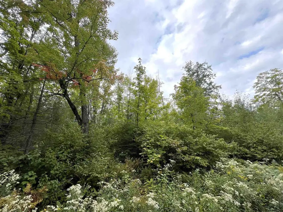 5.56 acres On Star Lake Road, Crandon, WI 54520 - #3