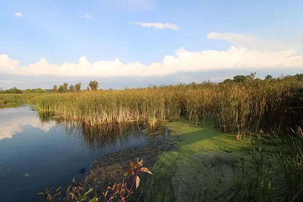 14.89 Ac 7th Drive, Montello, WI 53949