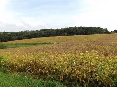 28+/- Acres Sand Hill Road, Boscobel, WI 53805