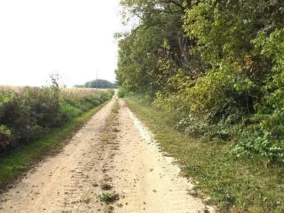 28+/- Acres Sand Hill Road, Boscobel, WI 53805 - Image #2
