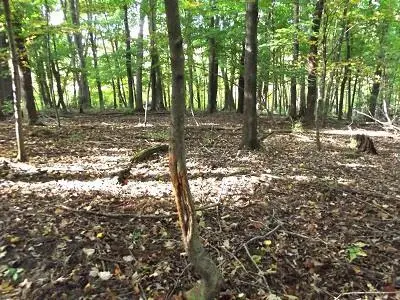 28+/- Acres Sand Hill Road, Boscobel, WI 53805 - Image #3