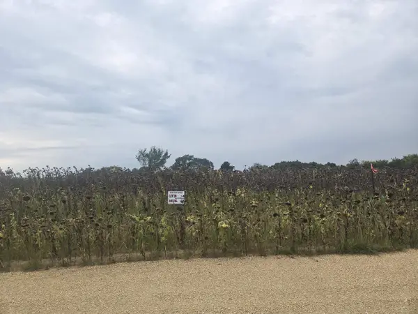 Lot 29 Ridge Point Estates, Mineral Point, WI 53565