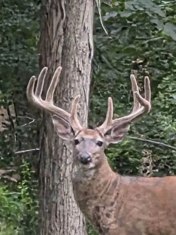 N8720 County CX Road, Portage, WI 53901