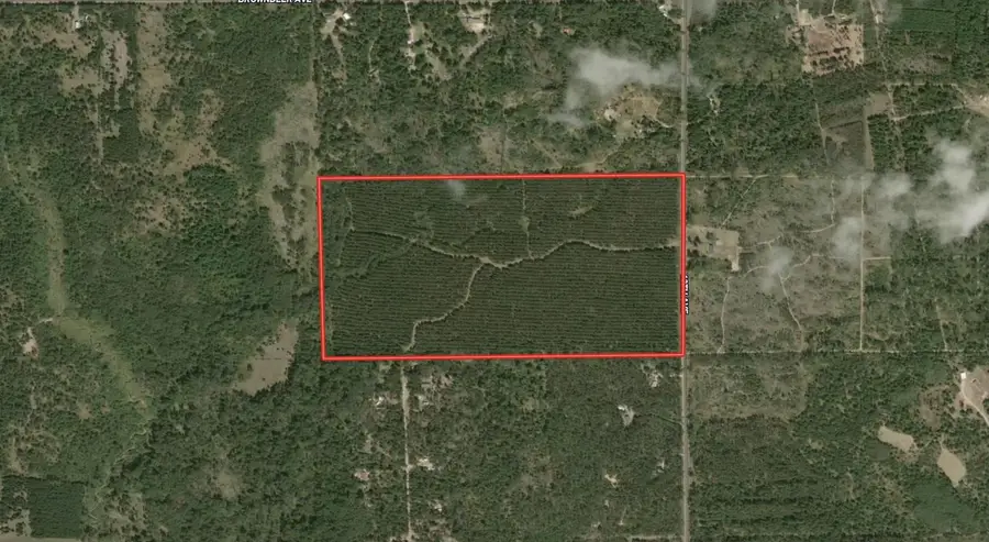 80 AC 13th Ave S Acres, Arkdale, WI 54613 - Image #2