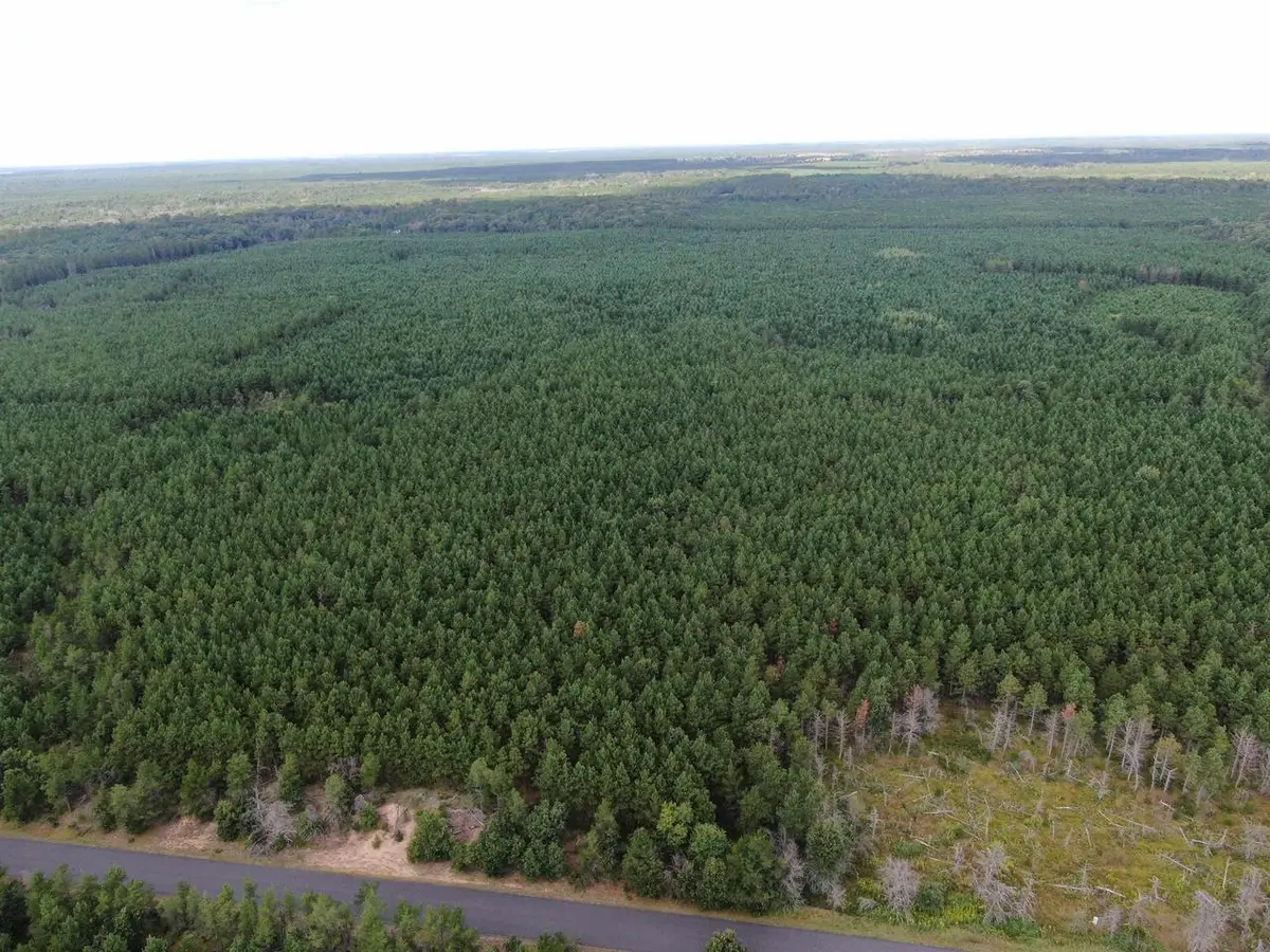 40 AC Buttercup Ave E Acres, Arkdale, WI 54613 - #1