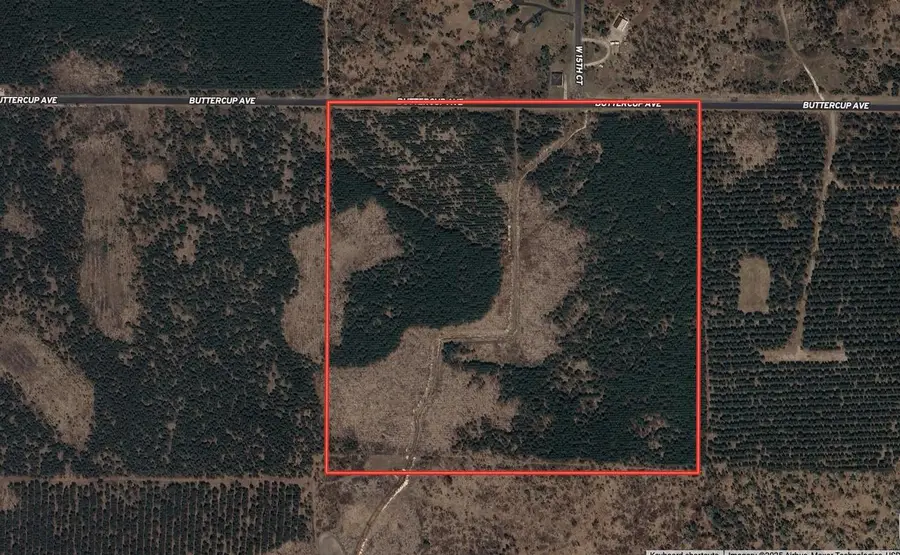 40 AC Buttercup Ave N Acres, Arkdale, WI 54613 - Image #3