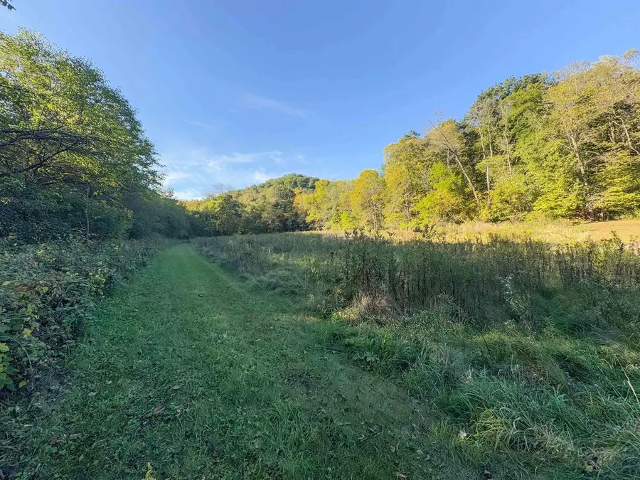 12461 River Road Road, Soldiers Grove, WI 54655 - Image #3