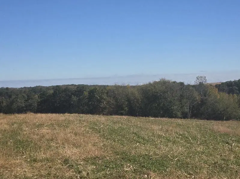 Mimosa Road, Wilton, WI 54670 - Image #1