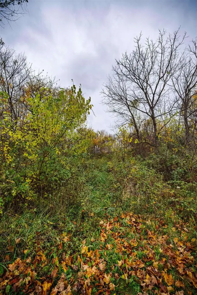 lot 1 and 2 County TB Road, Richland Center, WI 53581 - Image #3