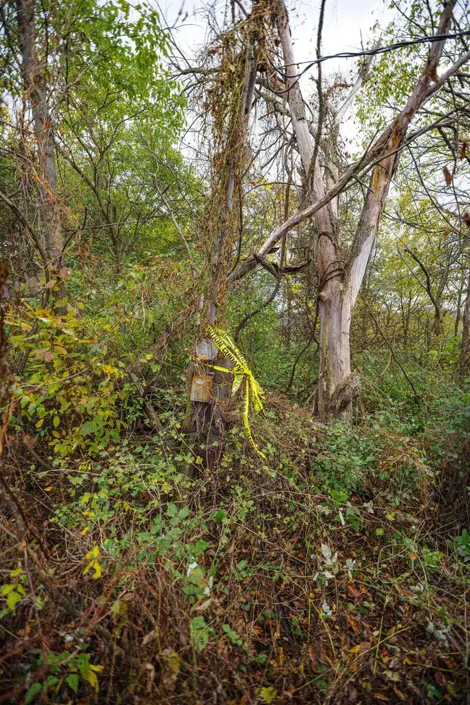 lot 1 County TB Road, Richland Center, WI 53581 - Image #3