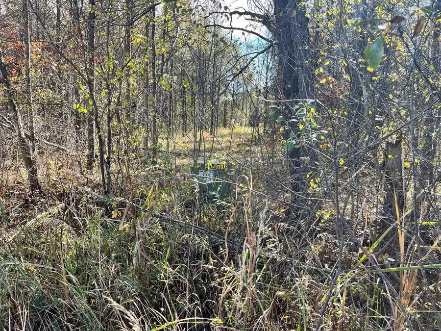 1035 Beaver Avenue, Nekoosa, WI 54457 - Image #3