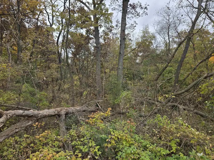 5596 Enchanted Valley Road, Cross Plains, WI 53528 - Image #2