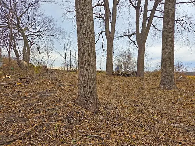 4461 County  D Road, Platteville, WI 53818 - Image #3