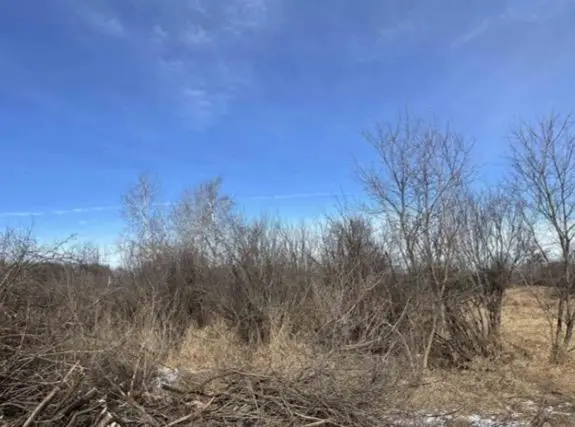 000 Grapevine, Tomah, WI 54660 - Image #2