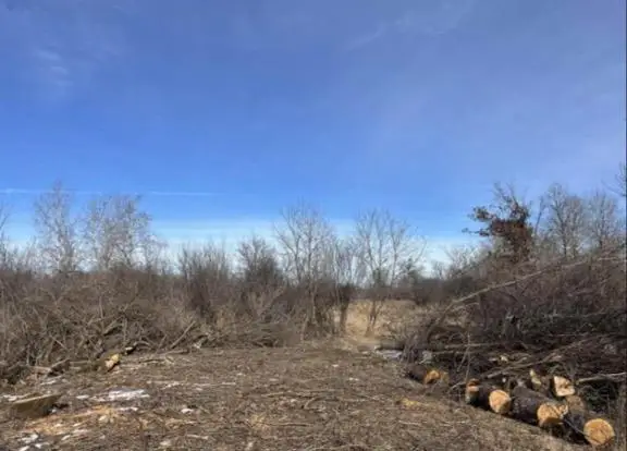 000 Grapevine, Tomah, WI 54660 - Image #3