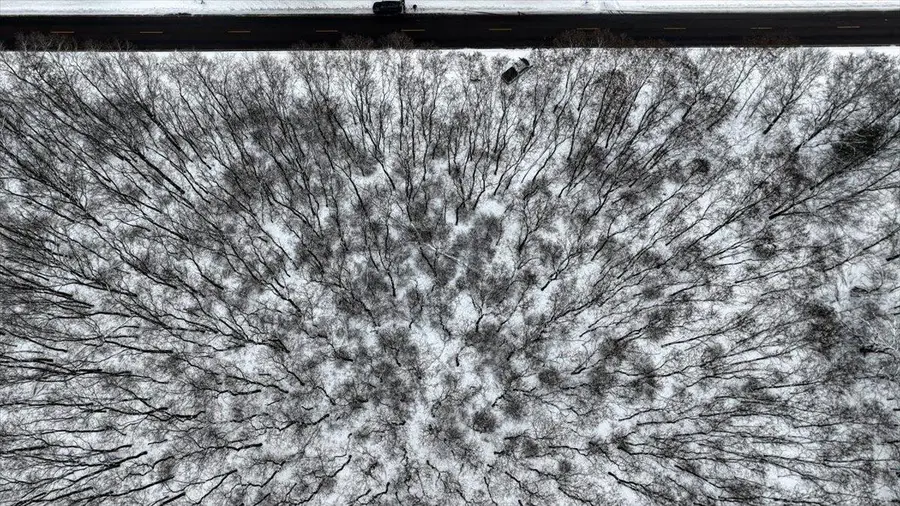 Lots 11 & 14 County Road A, Grand Marsh, WI 53936 - Image #3