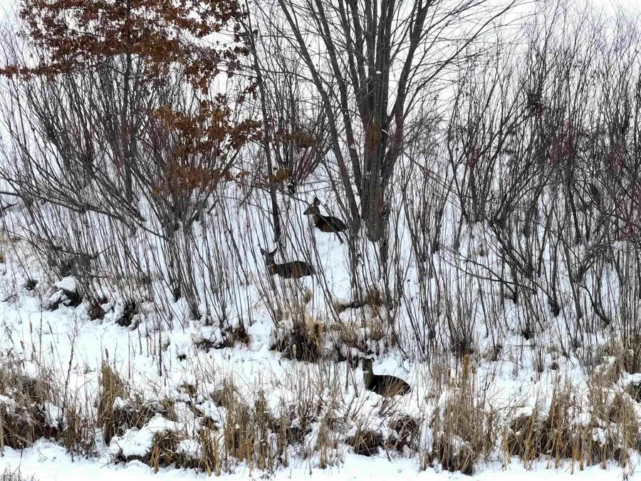 Lot 7 Golf Course Road, Brodhead, WI 53520 - Image #3