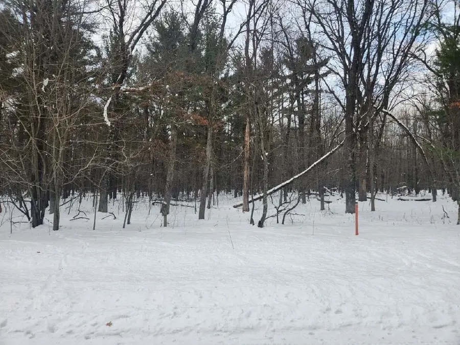 L28 and L29 S Badger Lane, Arkdale, WI 54613 - Image #2