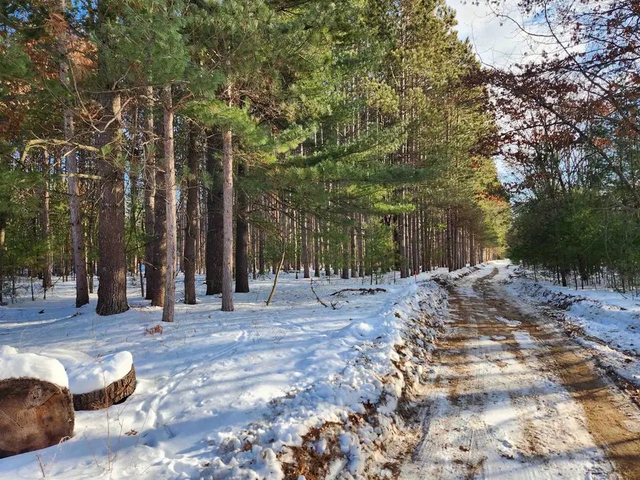 Lot 3 Meiller Road, Montello, WI 53949 - #2