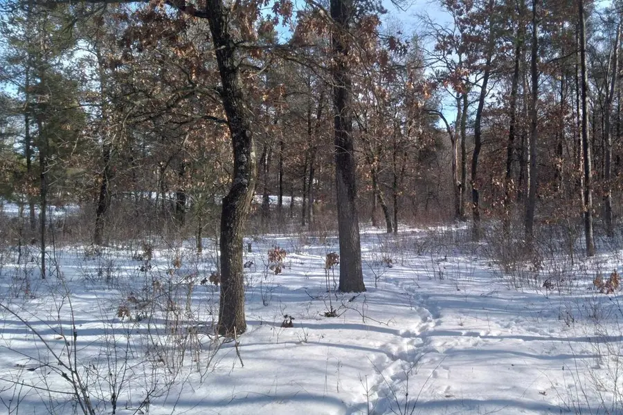 478 13th Avenue, Nekoosa, WI 54457 - Image #3