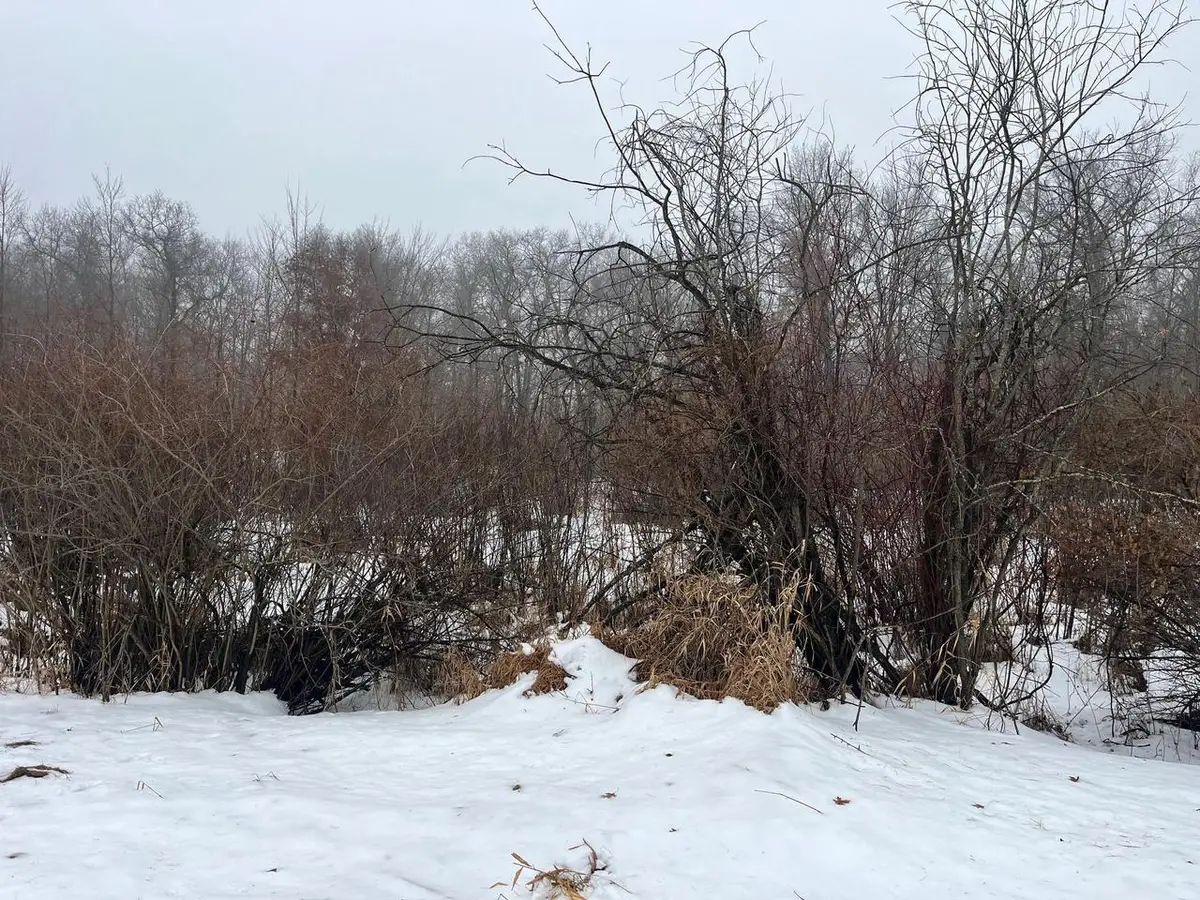 18 AC Chicago Avenue, Coloma, WI 54930 - Image #1