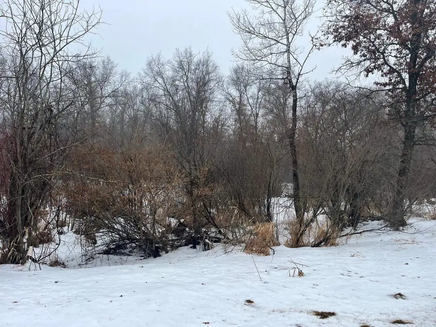 18 AC Chicago Avenue, Coloma, WI 54930 - Image #2